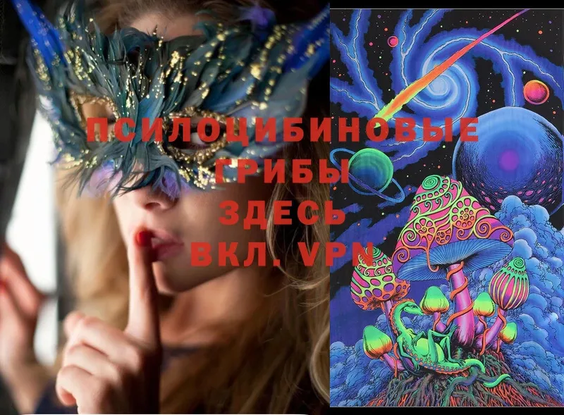 площадка формула  Армянск  Галлюциногенные грибы Magic Shrooms 