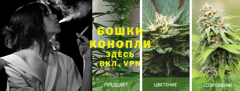 МАРИХУАНА White Widow  наркошоп  Армянск 